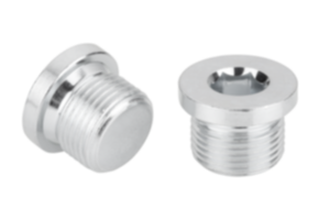 Tapones con collar y hexágono interior DIN 908
