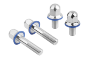 Tornillos hexagonales de acero inoxidable con junta tórica en Hygienic DESIGN
