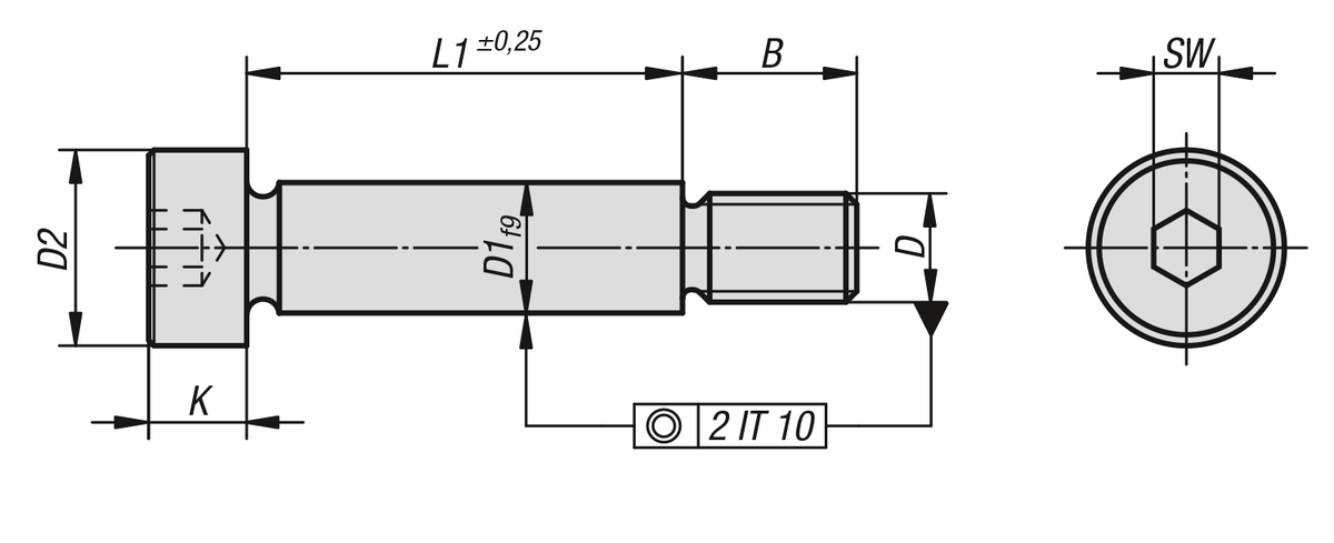 Tornillos de ajuste con pieza adicional similares a DIN ISO 7379